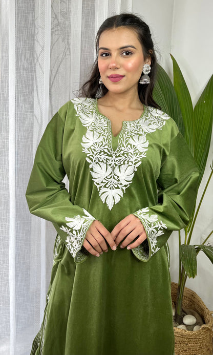 Light Green Aari Embroidered Kashmiri Velvet Suit